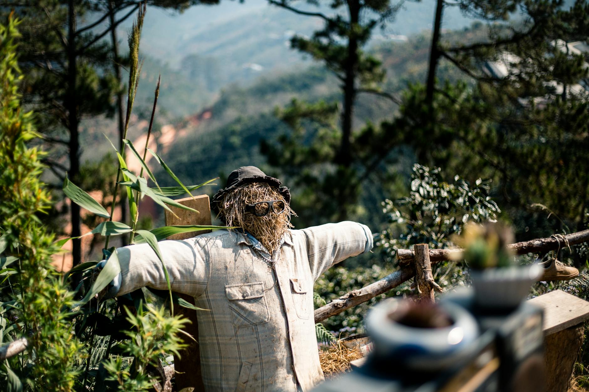 Photo by Thượng Hy on <a href="https://www.pexels.com/photo/a-scarecrow-in-a-checkered-shirt-14817645/" rel="nofollow">Pexels.com</a>